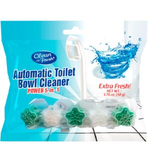 Automatic toilet bowl cleaner